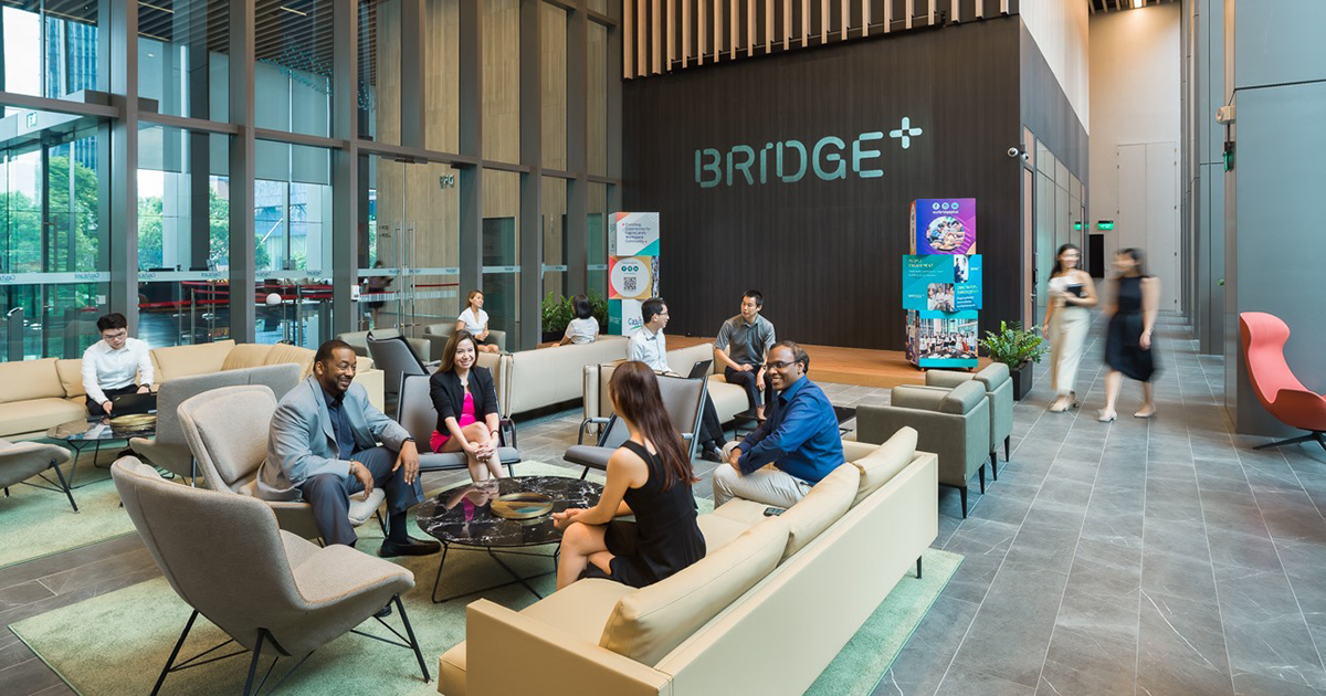 Bridge+ | Co-Working Space Guide